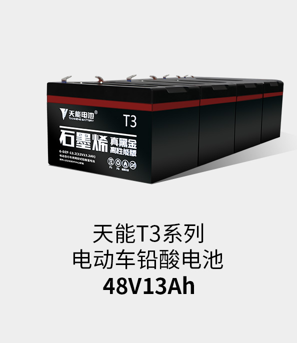 EBET易博T3系列48v13ah