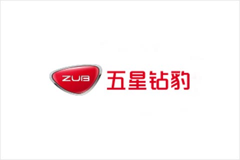 EBET易博电池合作伙伴 五星钻豹电动车